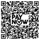 PayNow